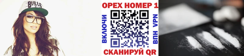 сайты даркнета как зайти  Егорьевск  Cocaine FishScale  купить закладку 