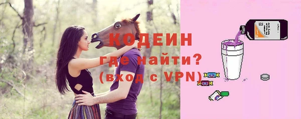 МДПВ Богородск