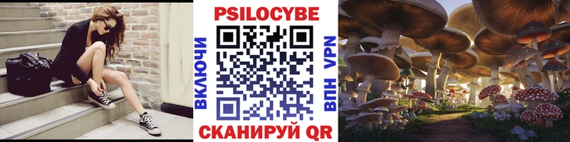 Галлюциногенные грибы Cubensis  Егорьевск 